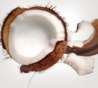 Kokosová plnka